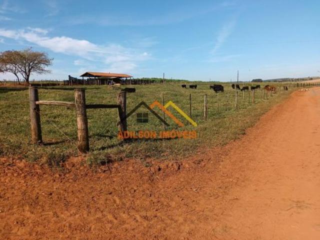 Fazenda para venda em São Paulo
