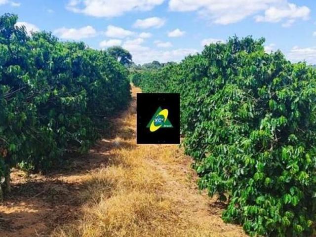 Fazenda para venda em São Tiago