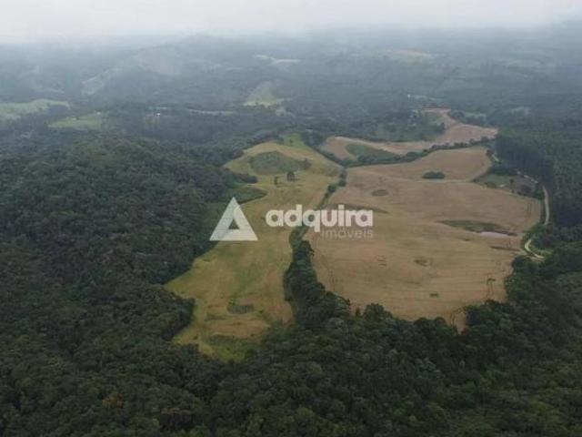 Fazenda para venda em Socavão/Socavão, Castro