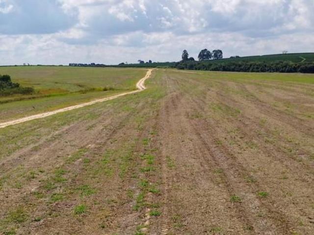 Fazenda para Venda em Santo Antônio da Alegria, RURAL