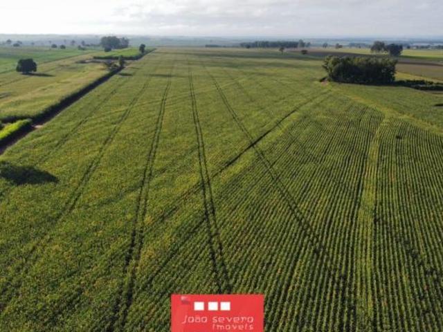 Fazenda para Venda em Santa Cruz de Monte Castelo