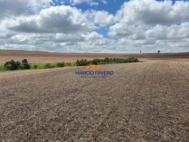 Fazenda para venda em Santa Cruz do Rio Pardo