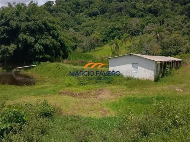Fazenda para venda em Santa Maria da Serra