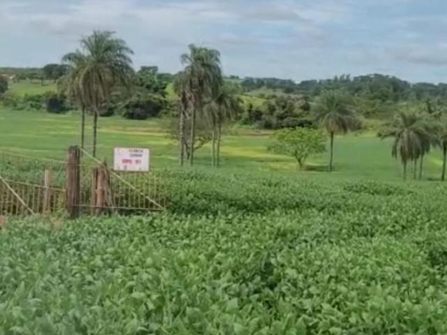 Fazenda para Venda em Santa Rita do Passa Quatro, RURAL