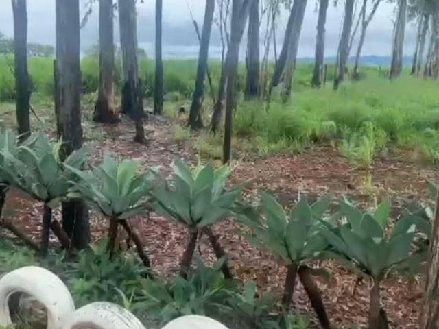 Fazenda para venda em Santana de Patos, Patos de Minas