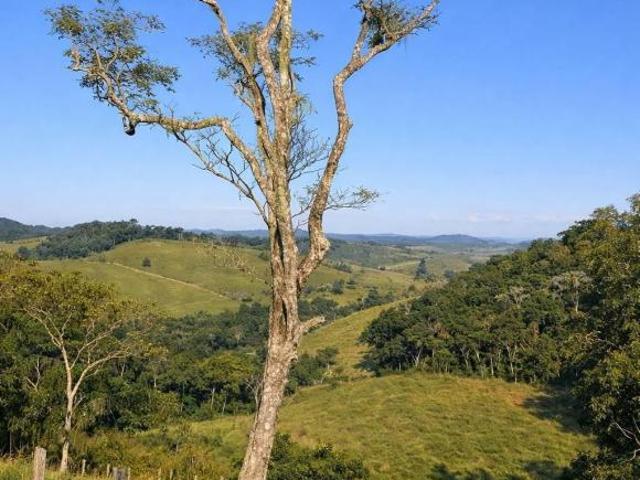 Fazenda para venda em Santana dos Montes