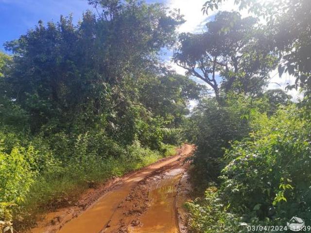 Fazenda para venda em Santana, Paracatu