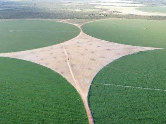 Fazenda para venda em Santana, Paracatu