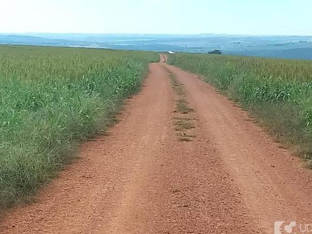Fazenda para venda em Setor Central, Catalão