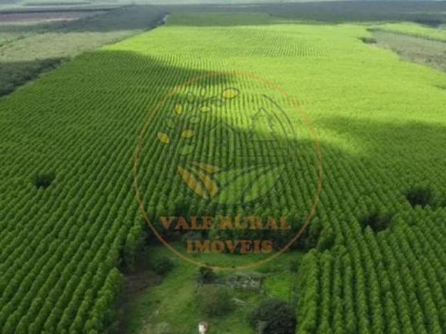 Fazenda para venda em Setor Central, Catalão