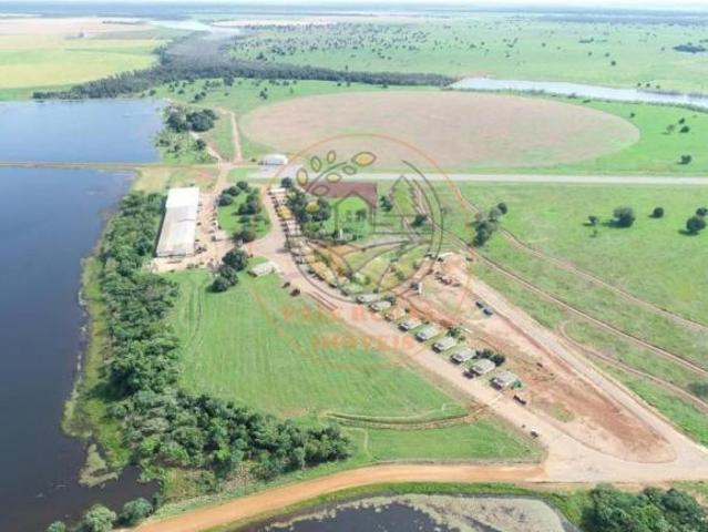 Fazenda para venda em Setor Central, Jussara