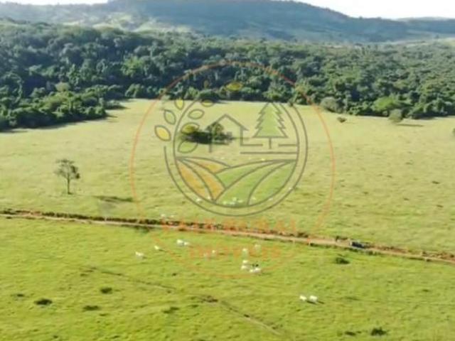 Fazenda para venda em Setor Afonso Pena, Itumbiara