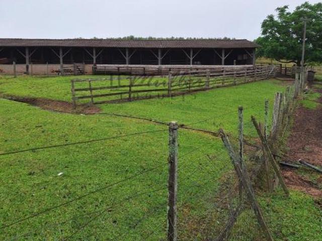 Fazenda para venda em Sentinela do Sul