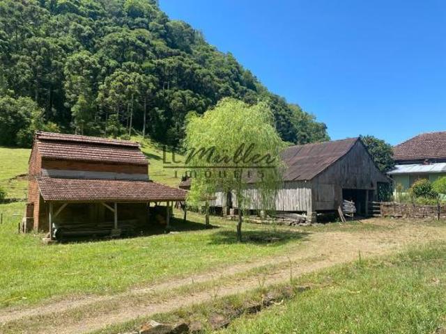 Fazenda para venda em Sinimbu
