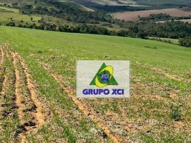 Fazenda para venda em Pouso Alegre