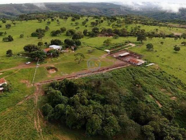 Fazenda para venda em Ponte Firme, Presidente Olegário