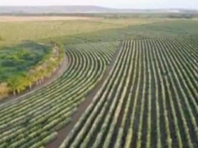 Fazenda para Venda em Patrocínio, Área Rural de Patrocínio