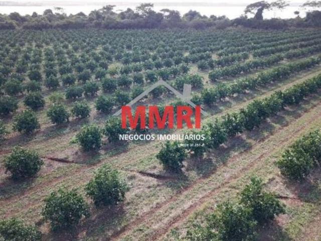 Fazenda para venda em Patrimônio Novo, Votuporanga