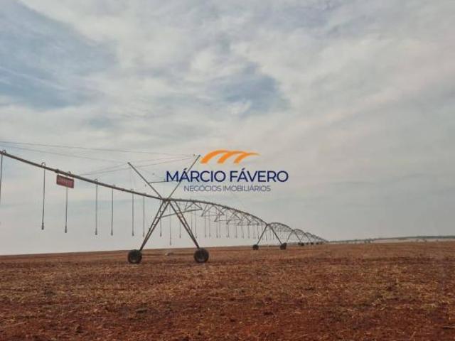 Fazenda para venda em Paulo de Faria