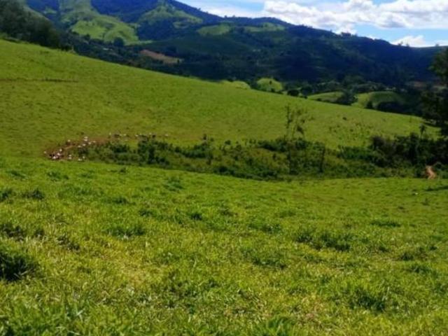 Fazenda para venda em Palmeiral, Botelhos
