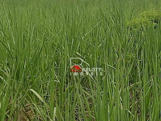 Fazenda para venda em Panorama