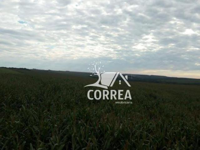 Fazenda para venda em Paranapanema
