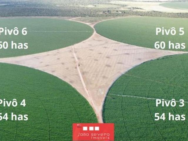 Fazenda para Venda em Paracatu