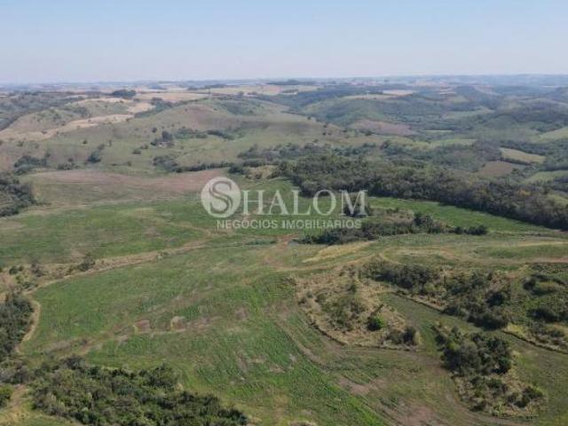 Fazenda para venda em Parque Industrial Zona Oeste, Apucaran