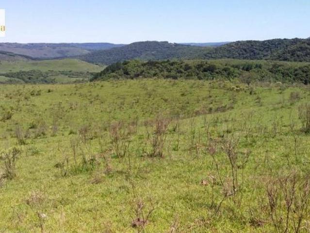 Fazenda para Venda em Picada Jaquirana RS