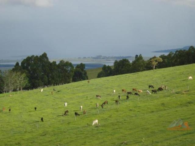 Fazenda para Venda em Pimenta