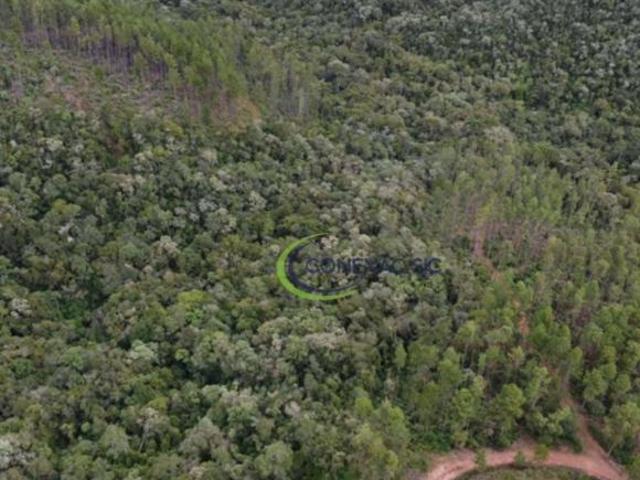 Fazenda para venda em Piquete