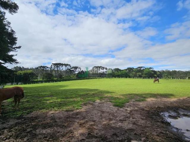 Fazenda para venda em Planta Campo Largo, Piraquara