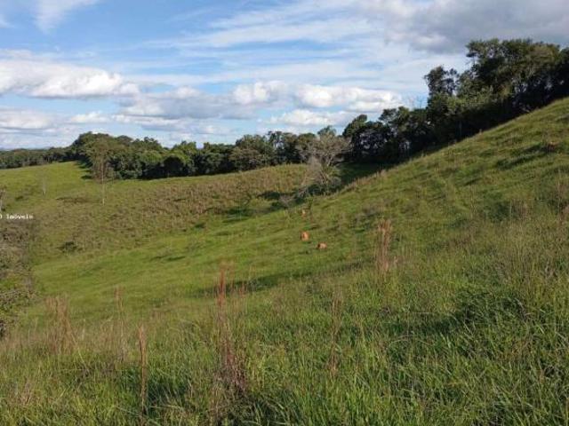 Fazenda para venda em Prados