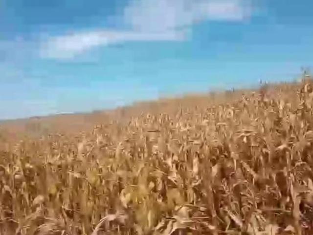 Fazenda para Venda em Prata, Zona Rural