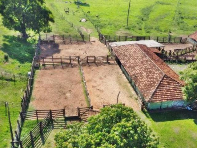Fazenda para Venda em Prata, Zona Rural