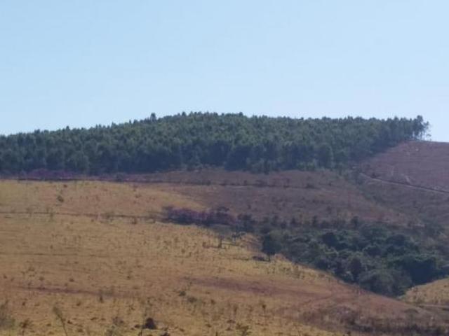Fazenda para Venda em Pratinha, Zona Rural