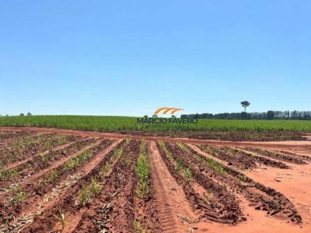 Fazenda para venda em Presidente Venceslau