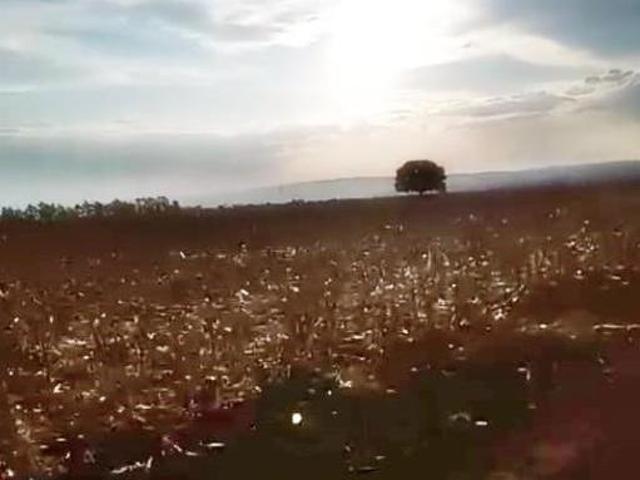 Fazenda para Venda em Presidente Olegário, Zona Rural