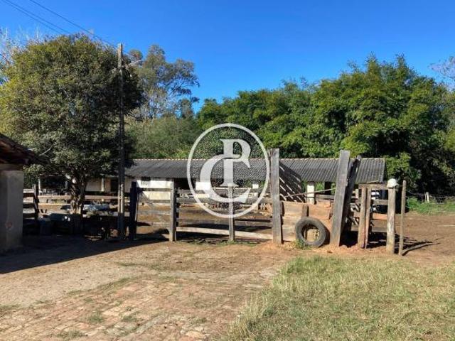 Fazenda para venda em Putim, São José dos Campos