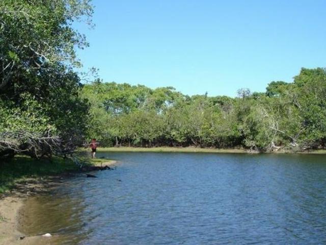 Fazenda para venda em Rondonópolis