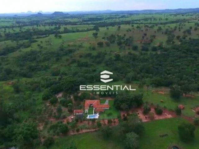 Fazenda para venda em Rondonópolis