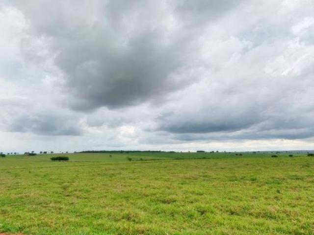 Fazenda para Venda em Rosana, Zona Rural
