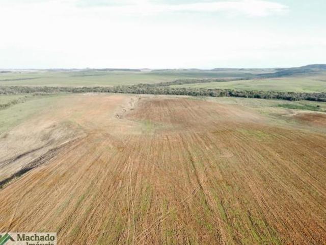 Fazenda para venda em Rosário do Sul