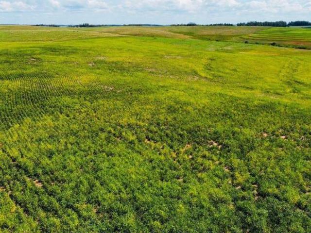 Fazenda para venda em Rosário do Sul