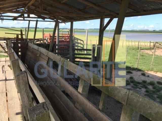 Fazenda para venda em Rosário do Sul