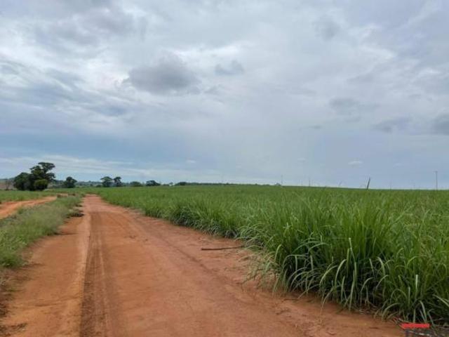 Fazenda para Venda em Reginópolis, RURAL
