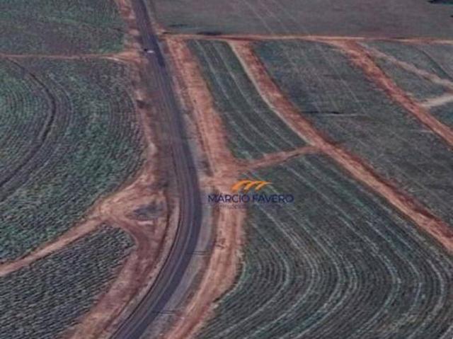 Fazenda para venda em Rifaina