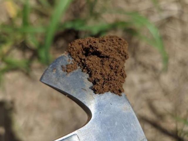 Fazenda para Venda em Rifaina, RURAL