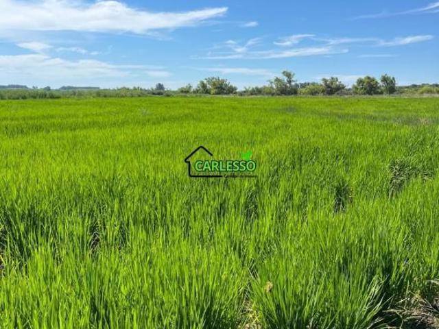 Fazenda para venda em Wilson, Santana do Livramento