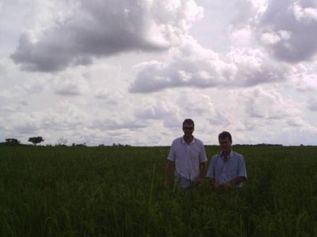 Fazenda para venda em Tocantins